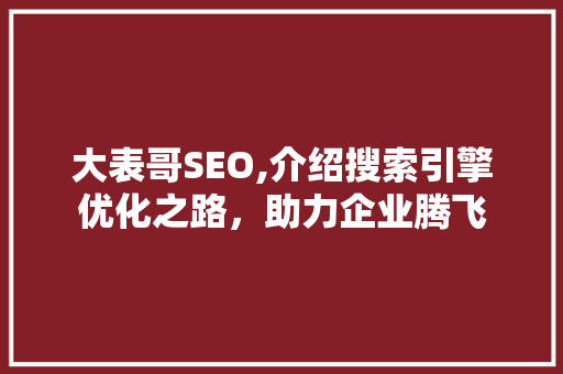 大表哥SEO,介绍搜索引擎优化之路，助力企业腾飞