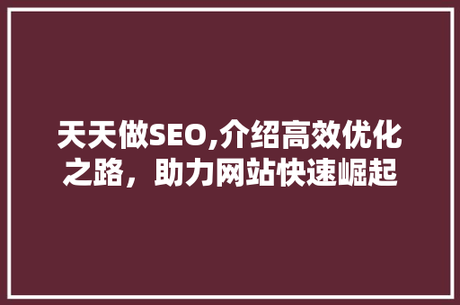 天天做SEO,介绍高效优化之路，助力网站快速崛起