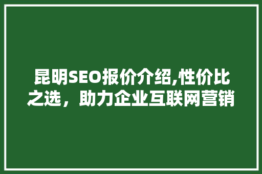 昆明SEO报价介绍,性价比之选，助力企业互联网营销