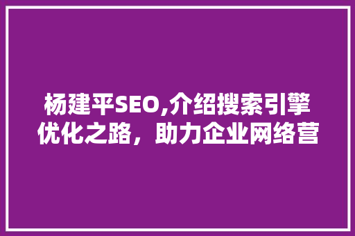 杨建平SEO,介绍搜索引擎优化之路，助力企业网络营销腾飞