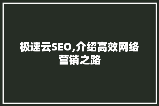 极速云SEO,介绍高效网络营销之路