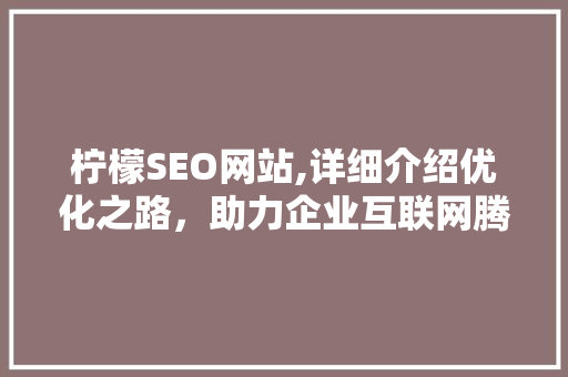 柠檬SEO网站,详细介绍优化之路，助力企业互联网腾飞