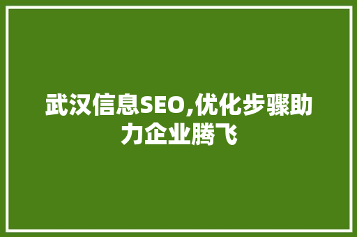 武汉信息SEO,优化步骤助力企业腾飞