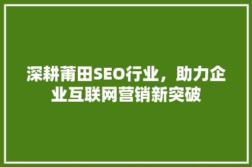 深耕莆田SEO行业，助力企业互联网营销新突破