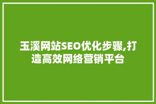 玉溪网站SEO优化步骤,打造高效网络营销平台
