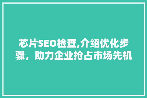 芯片SEO检查,介绍优化步骤，助力企业抢占市场先机