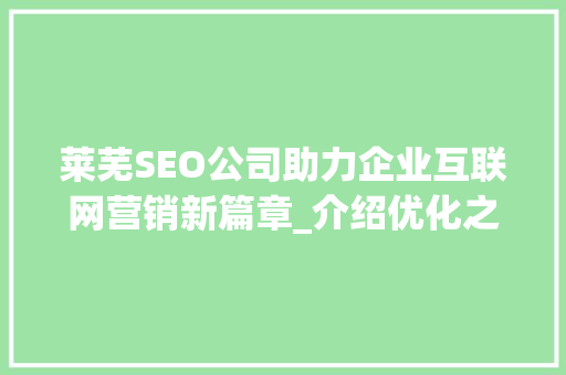 莱芜SEO公司助力企业互联网营销新篇章_介绍优化之路