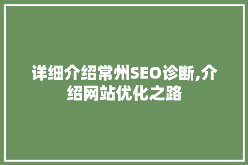详细介绍常州SEO诊断,介绍网站优化之路
