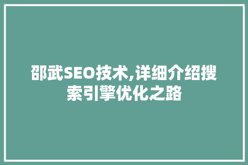 邵武SEO技术,详细介绍搜索引擎优化之路
