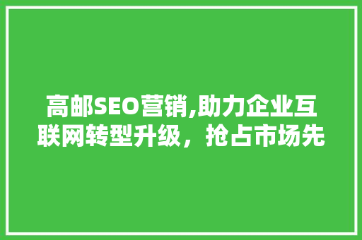 高邮SEO营销,助力企业互联网转型升级，抢占市场先机  第1张