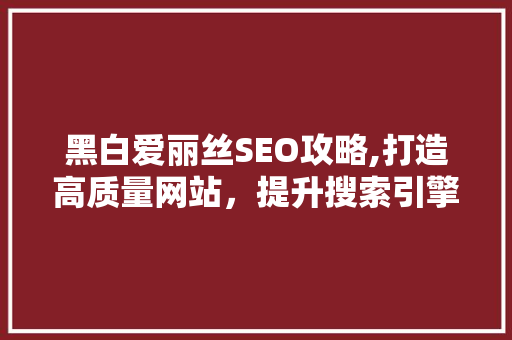 黑白爱丽丝SEO攻略,打造高质量网站，提升搜索引擎排名