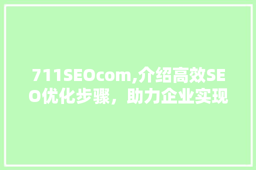 711SEOcom,介绍高效SEO优化步骤，助力企业实现网络营销新突破