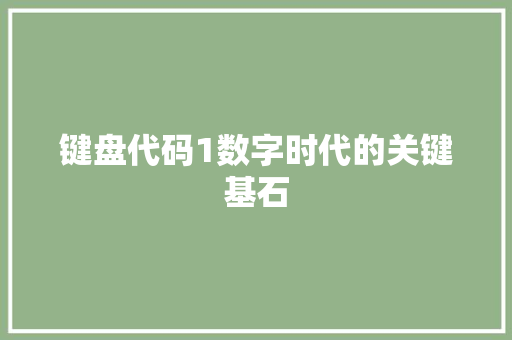 键盘代码1数字时代的关键基石