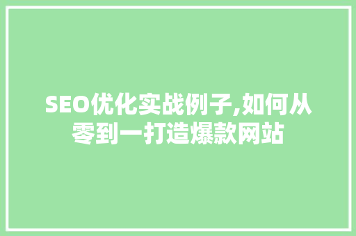 SEO优化实战例子,如何从零到一打造爆款网站