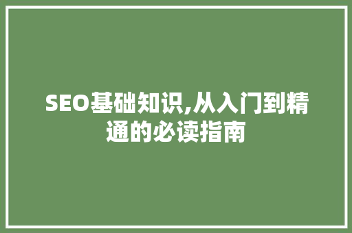 SEO基础知识,从入门到精通的必读指南