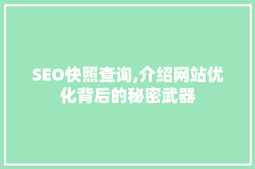 SEO快照查询,介绍网站优化背后的秘密武器