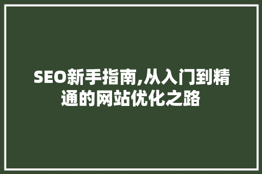 SEO新手指南,从入门到精通的网站优化之路