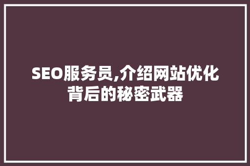 SEO服务员,介绍网站优化背后的秘密武器
