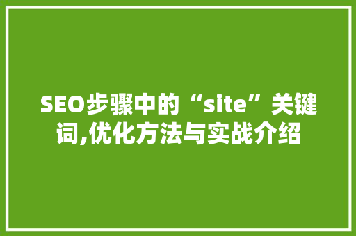 SEO步骤中的“site”关键词,优化方法与实战介绍