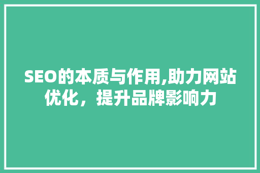 SEO的本质与作用,助力网站优化，提升品牌影响力