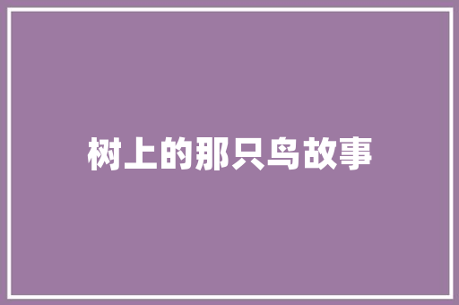 详细介绍晋江网页SEO,提升网站排名，打造优质内容生态