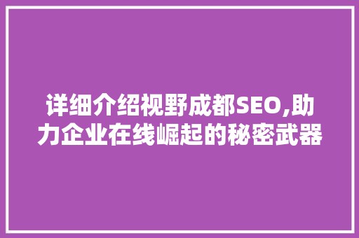 详细介绍视野成都SEO,助力企业在线崛起的秘密武器