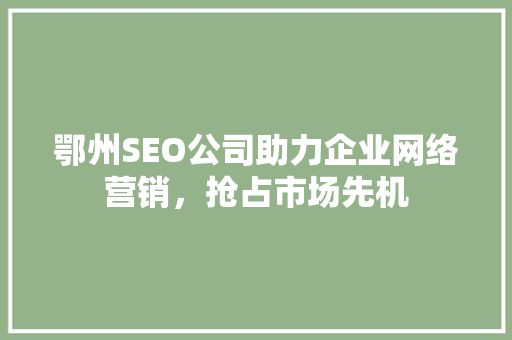 鄂州SEO公司助力企业网络营销，抢占市场先机