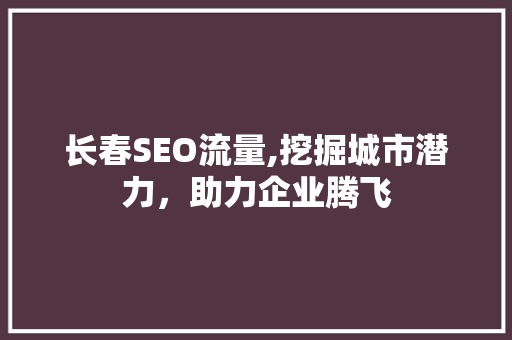 长春SEO流量,挖掘城市潜力，助力企业腾飞