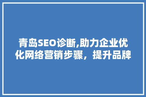 青岛SEO诊断,助力企业优化网络营销步骤，提升品牌影响力