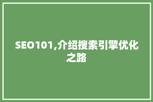SEO101,介绍搜索引擎优化之路