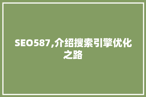 SEO587,介绍搜索引擎优化之路