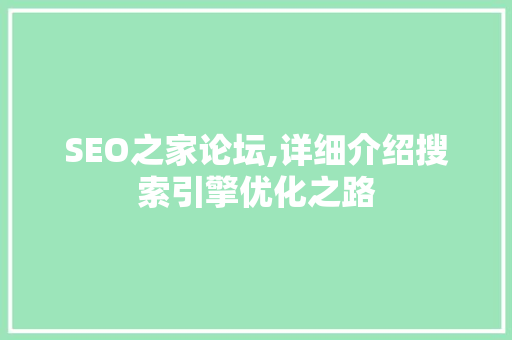 SEO之家论坛,详细介绍搜索引擎优化之路