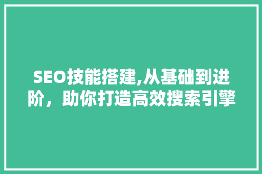 SEO技能搭建,从基础到进阶，助你打造高效搜索引擎优化步骤
