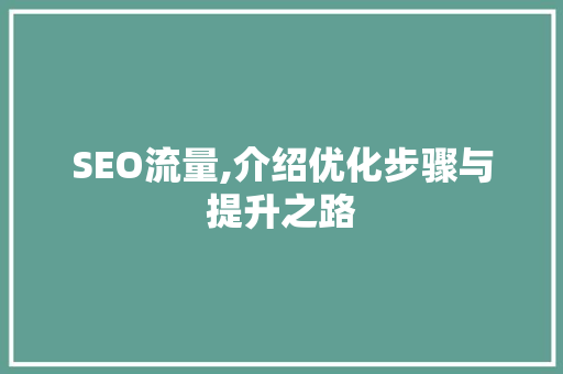 SEO流量,介绍优化步骤与提升之路