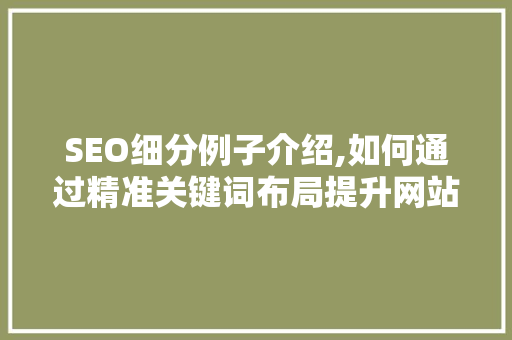 SEO细分例子介绍,如何通过精准关键词布局提升网站排名