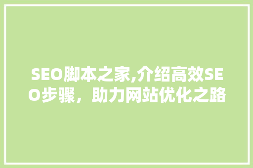 SEO脚本之家,介绍高效SEO步骤，助力网站优化之路