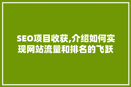 SEO项目收获,介绍如何实现网站流量和排名的飞跃