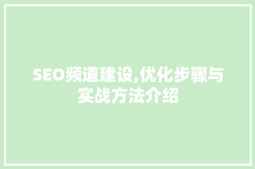 SEO频道建设,优化步骤与实战方法介绍
