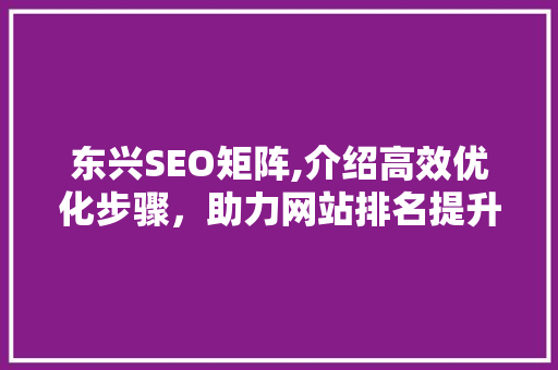东兴SEO矩阵,介绍高效优化步骤，助力网站排名提升