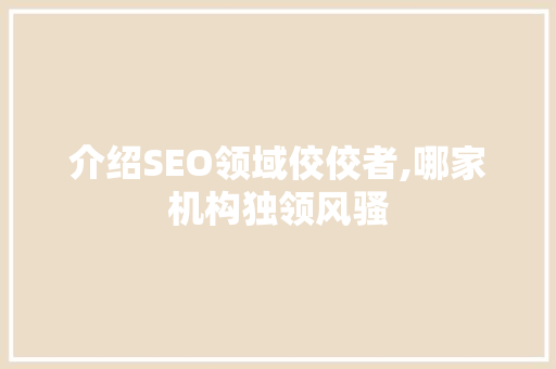 介绍SEO领域佼佼者,哪家机构独领风骚
