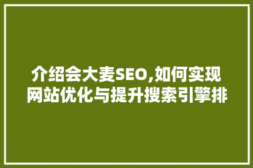 介绍会大麦SEO,如何实现网站优化与提升搜索引擎排名