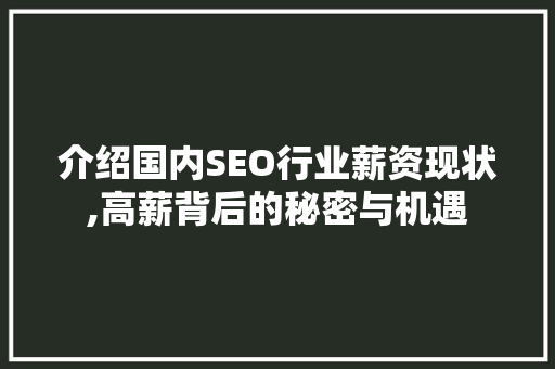 介绍国内SEO行业薪资现状,高薪背后的秘密与机遇