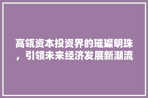 高瓴资本投资界的璀璨明珠，引领未来经济发展新潮流