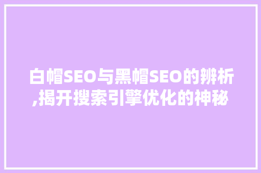 白帽SEO与黑帽SEO的辨析,揭开搜索引擎优化的神秘面纱