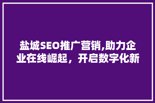盐城SEO推广营销,助力企业在线崛起，开启数字化新篇章