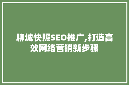 聊城快照SEO推广,打造高效网络营销新步骤