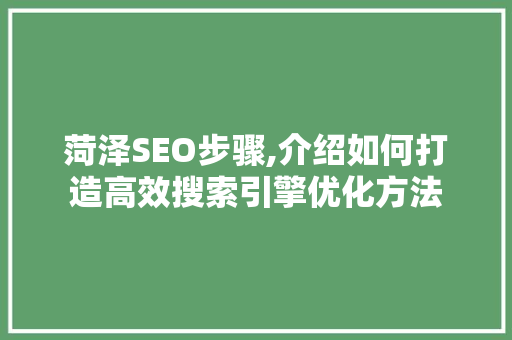 菏泽SEO步骤,介绍如何打造高效搜索引擎优化方法