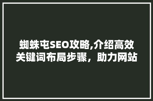 蜘蛛屯SEO攻略,介绍高效关键词布局步骤，助力网站优化之路