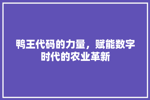鸭王代码的力量，赋能数字时代的农业革新