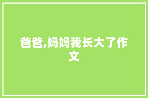 详细剖析,推广与SEO的区别与应用步骤